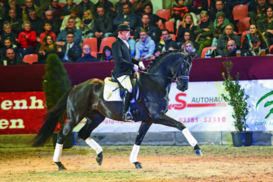 Dates for the stallion shows