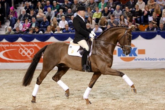 Stallion Show in Vechta