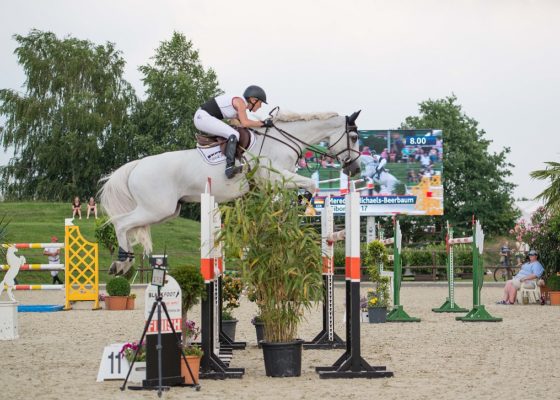 Show-Jumping Competition “Bonhomme Open”