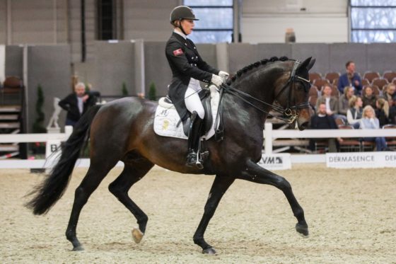 Feu D’Or gewinnt Prix St. Georges – insgesamt acht Top 3-Platzierungen für Bonhomme