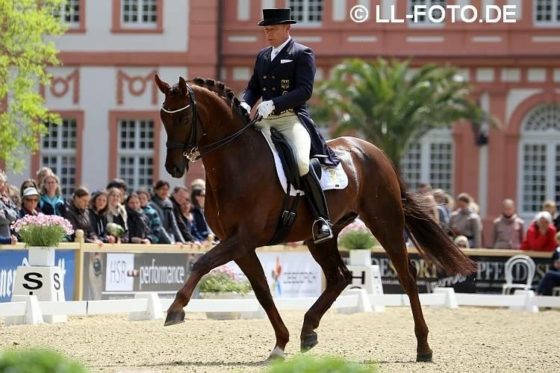 Fantastischer Erfolg für Fiderdance in Wiesbaden