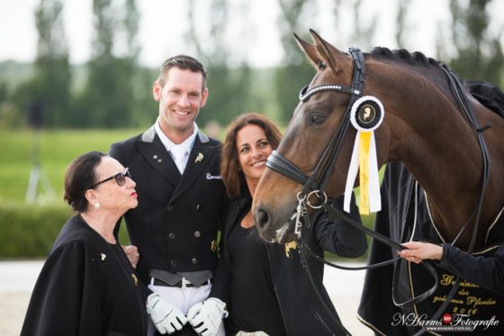 Der Ritt um das Goldene Pferd: Ausschreibung für Dressurturnier