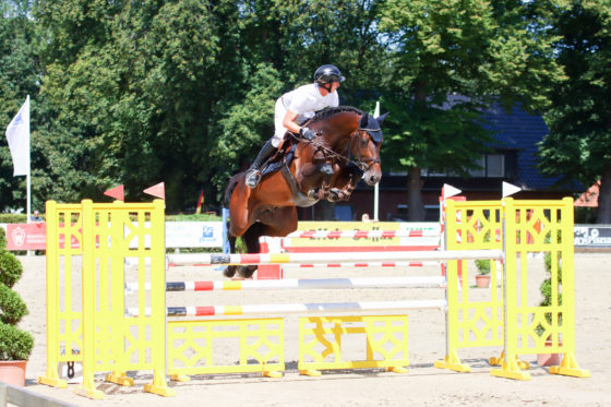 CSIYH* Riesenbeck: Zinedream mit internationalem Top-Debüt