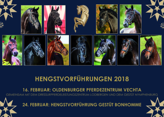 Hengstvorführungen in 2018