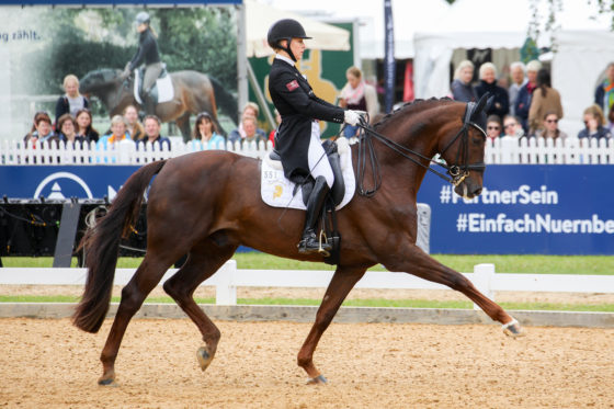 München Pferd International: Fiderdance qualifiziert sich zum Louisdor Preis Finale