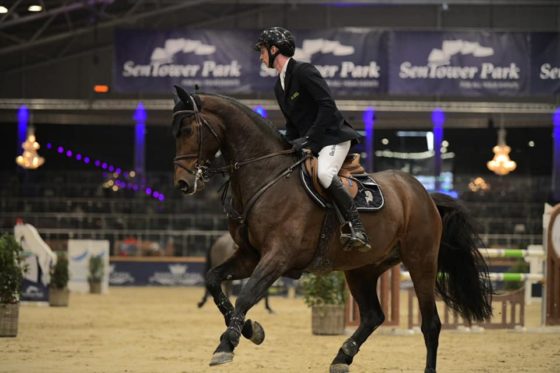 CSIYH* Opglabbeek/BEL: Zinedream begeistert mit 3 internationalen Top-Platzierungen