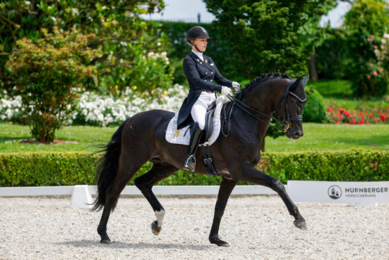 CDI4* Kronberg: Silber für D’Egalité in NÜRNBERGER BURGPOKAL Qualifikation