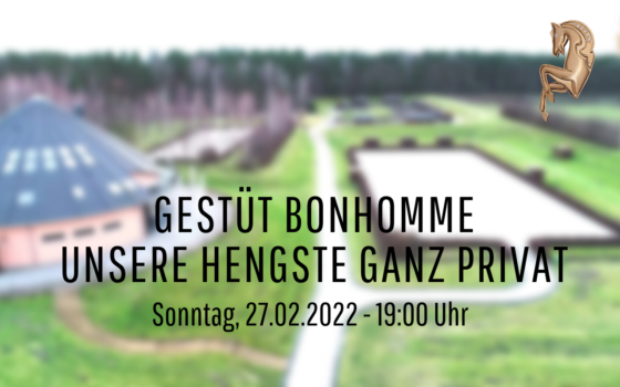 27. Februar, 19.00 Uhr: Online-Hengstreportage „Bonhomme – Unsere Hengste ganz privat“