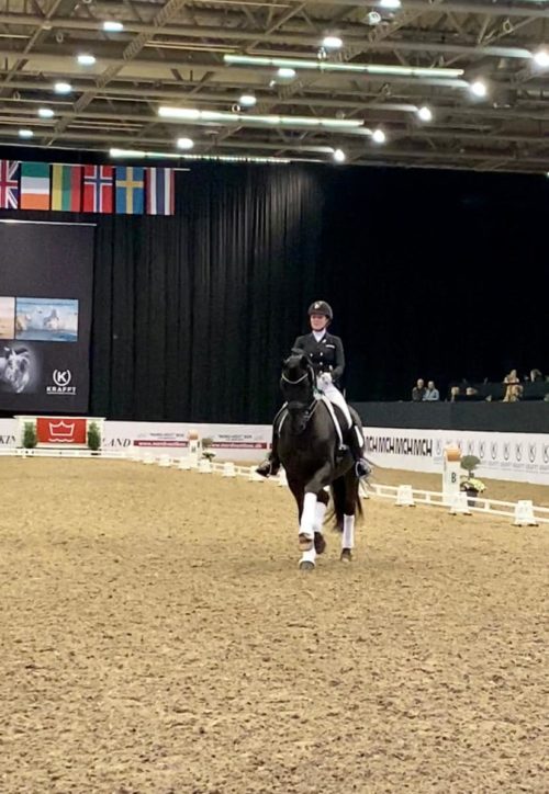 CDI5* Herning/DNK & Pausin: Cadeau Noir holt Bronze im Grand Prix