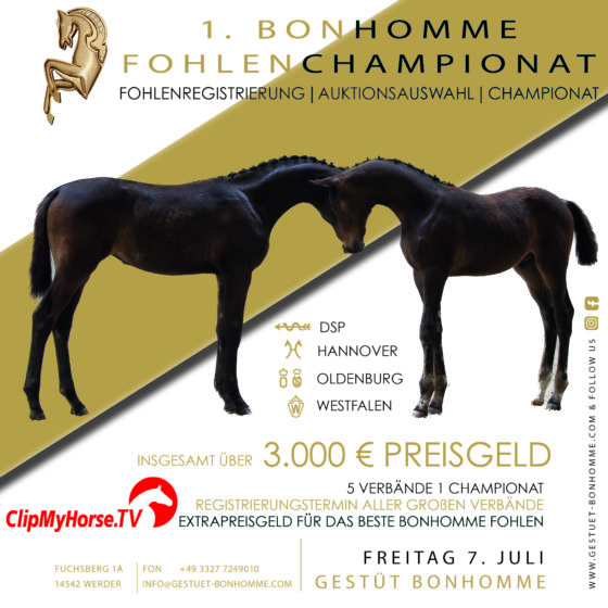 7. Juli 2023: 1. Bonhomme Fohlenchampionat