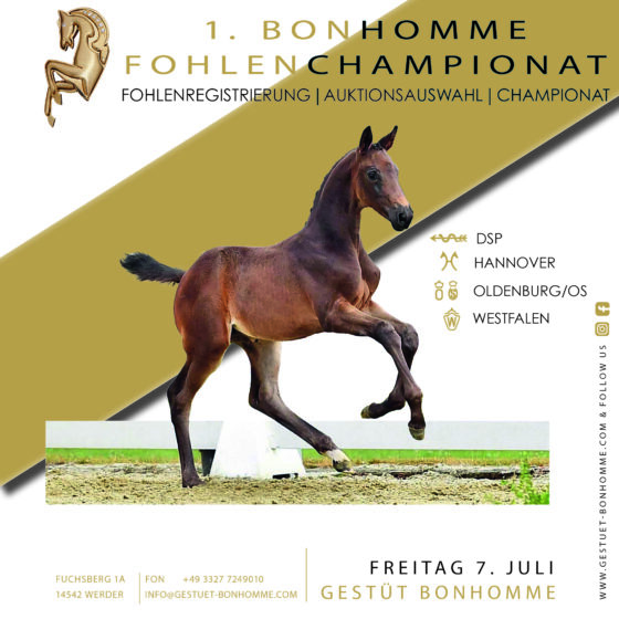 1.BONHOMME FOHLENCHAMPIONAT: Ergebnisse & Detailinformationen