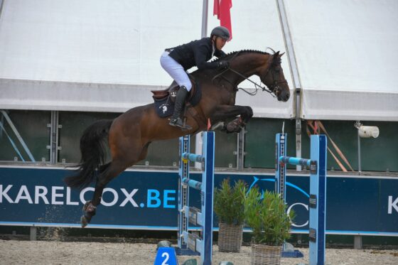 CSI3* Opglabbeek und Birkhof Dressurfestival: 1,50 m Sieg für Zinedream