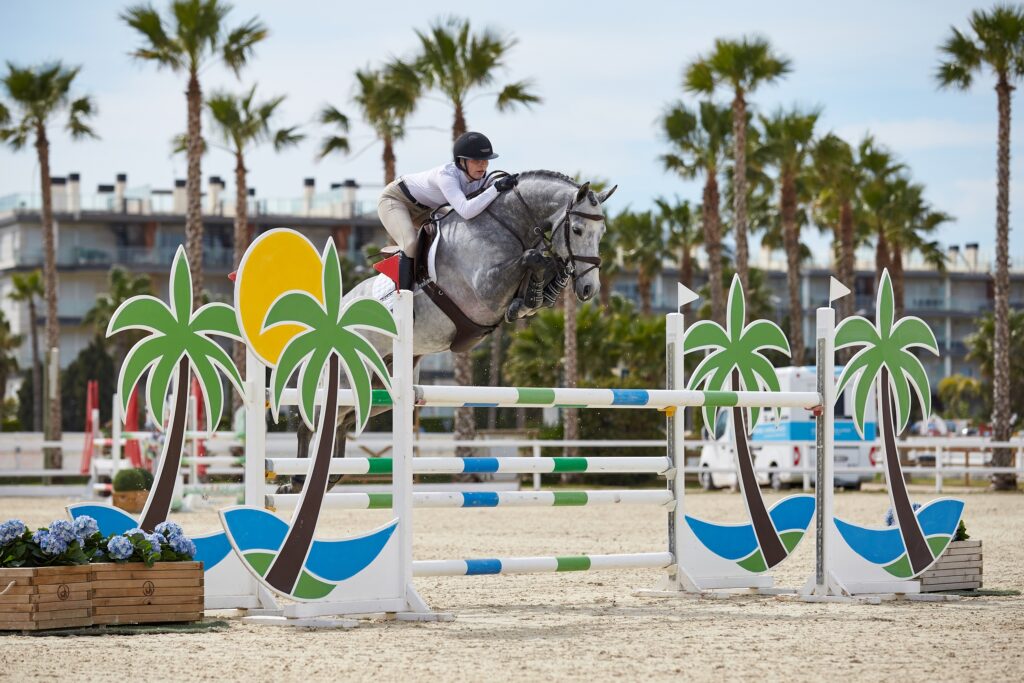 Oliva, Spain - 2020 March 10: 7 years old 1m30 during CSI Mediterranean Equestrian Spring Tour 3
(photo: 1clicphoto)