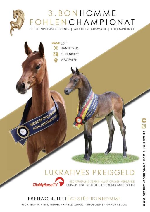 3. BONHOMME FOHLENCHAMPIONAT: Zeiteinteilung & Katalog