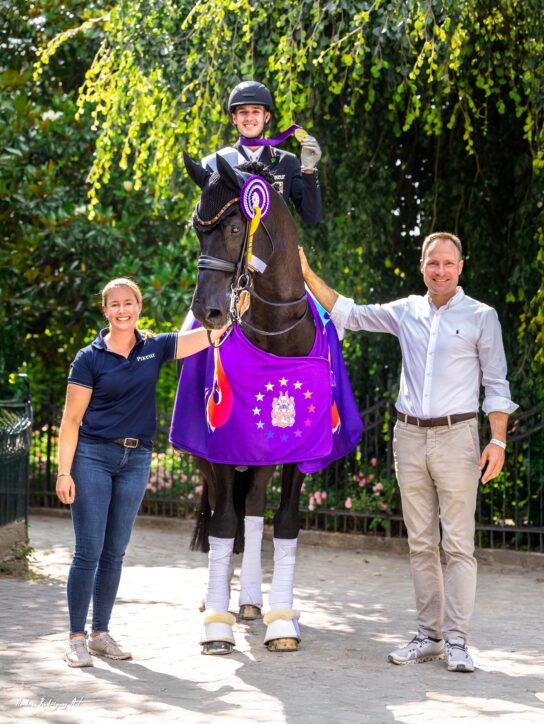 Züchtertag & Dressurlehrgang