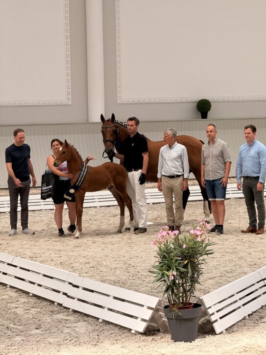 Die Ergebnisse des 4. Bonhomme Fohlenchampionats