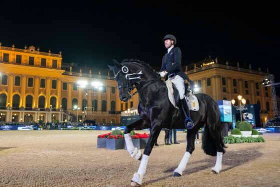 CDI4* Wien: Silber für Cadeau Noir